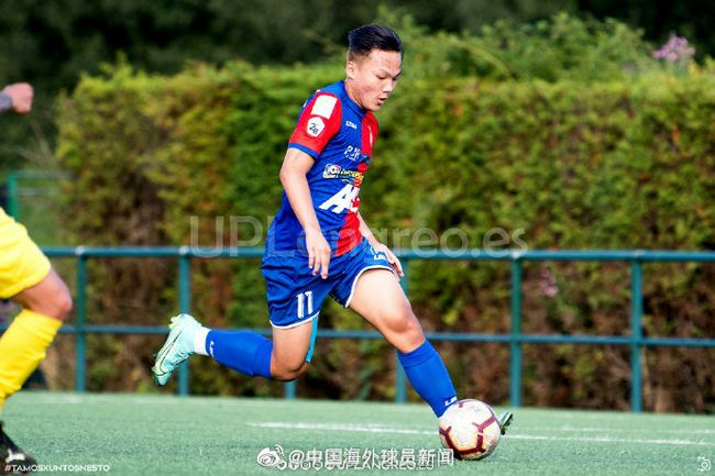 久久精品a一国产成人免费网站