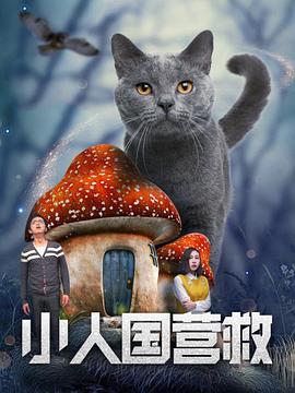 视频h在线观看