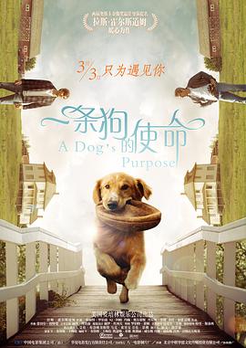 另类小说内裤奇缘