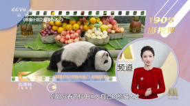 午夜精品尤物福利视频在线